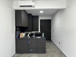 Hyll On Holland (D10), Condominium #465048621